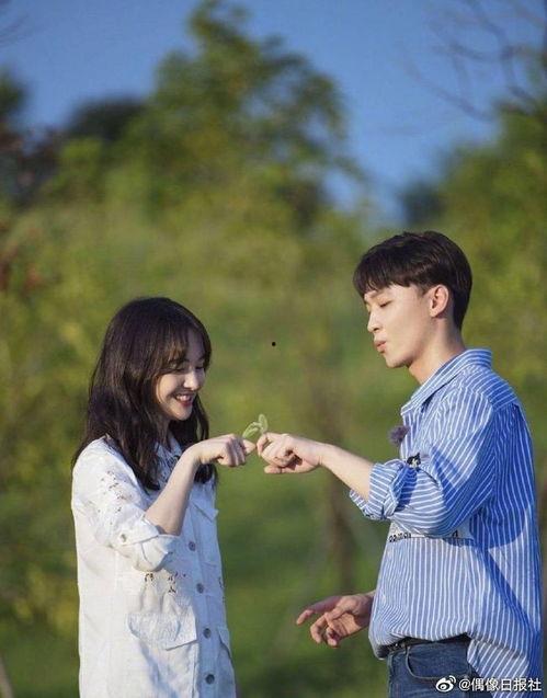 娱乐圈吃瓜科学是什么意思,揭秘娱乐圈八卦背后的真相与规律  第1张